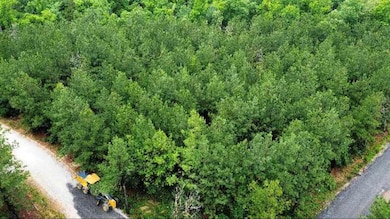 25 Mission Fig Trail, Broken Bow, OK 74728 - photo 3