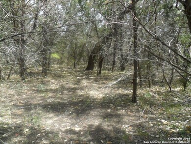 13544 Cherry Canyon, Helotes, TX 78023 - photo 3