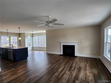 17010 Addie Rose Ln, Hanover, VA 23005 - photo 3