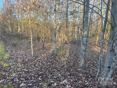 000000 Pinnacle Church Rd, Nebo, NC 28761 - photo 2