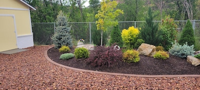 4_Back yard 1