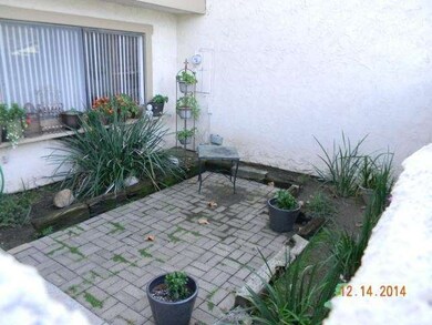 Front Patio/Courtyard