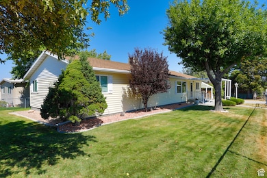 Back of house with a yard