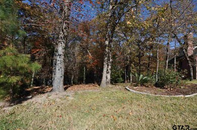 4005 Stonegate Blvd, Tyler, TX 75703 - photo 2