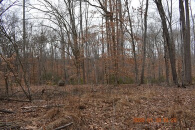 Secluded clearings provide beautiful home sites