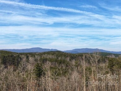 0 Hardin Store Rd unit 3694748, Rutherfordton, NC 28139 - photo 5