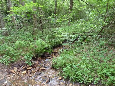 Stream