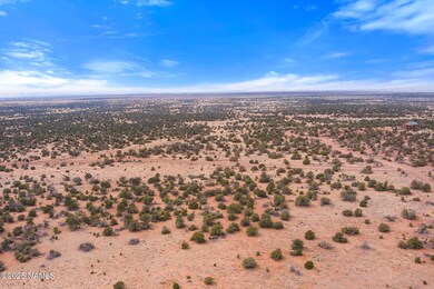 9996 Bird Dog Cir unit Lot E, Williams, AZ 86046 - photo 4