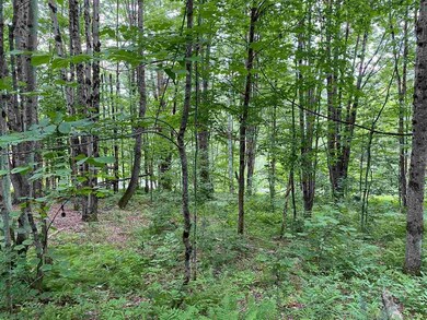 Lot 3 Tac Heights, Moretown, VT 05660 - photo 3