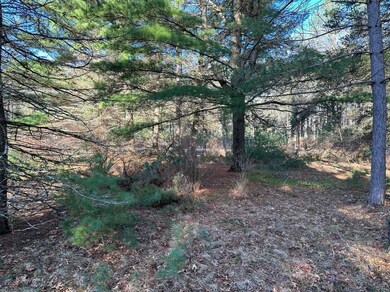 2782 8th Ct, Adams, WI 53910 - photo 7