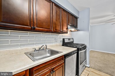 Chestnut Grove Condominiums unit 343, Reston, VA 20190 - photo 4