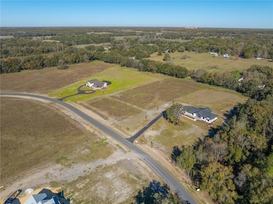 19083 SW 21st Place, Newberry, FL 32669 - photo 4