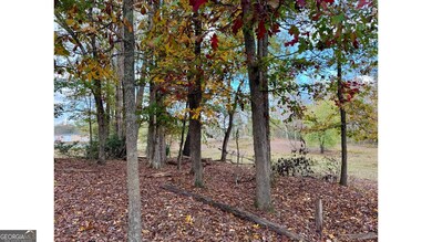 106 Highway 136 E, Dawsonville, GA 30534 - photo 4