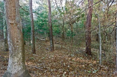 346 Edgartown Vh Rd, Edgartown, MA 02539 - photo 4