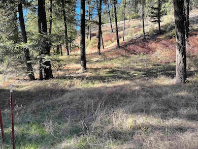 8XXX N Brooks Rd, Spokane, WA 99224 - photo 5