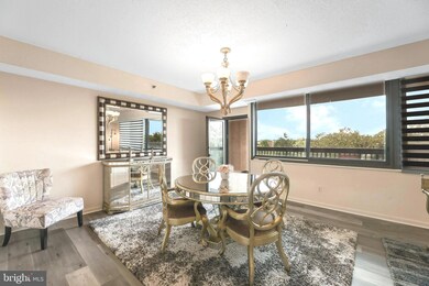 Skyline House unit 504W, Baileys Crossroads, VA 22041 - photo 2