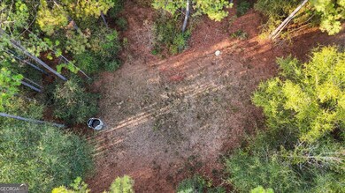 0 Massey Rd unit 10654939, Tennille, GA 31089 - photo 6