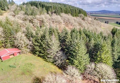 20980 SW Vineyard Ln, Mc Minnville, OR 97128 - photo 3