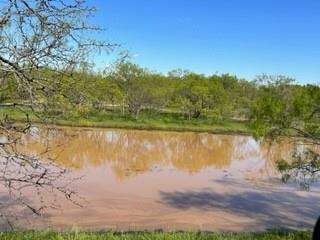 63 County Road 129, Brownwood, TX 76801 - photo 7