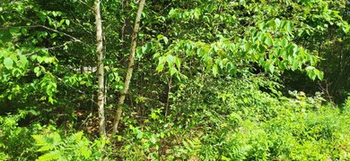 74 Munsey Rd, Jefferson, ME 04348 - photo 4