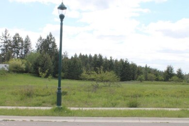 Looking South from Property
