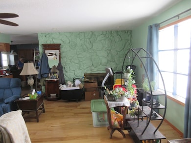 20172 Prophet Rd, Prophetstown, IL 61277 - photo 4