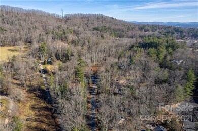 Close to the proposed Ecusta Trail