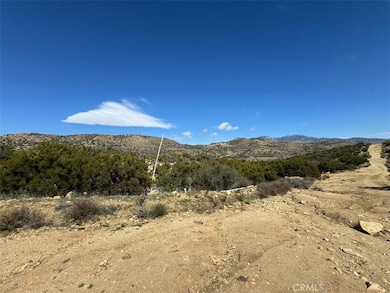 0 Covered Wagon Trail unit SW24042253, Anza, CA 92539 - photo 4