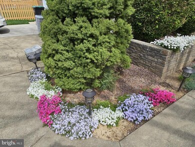 533 Virginia St, Strasburg, VA 22657 - photo 3