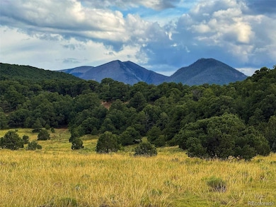 0 Lot 102 Cl&g Cc unit REC8378553, Gardner, CO 81040 - photo 6