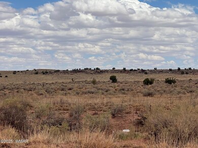 8400 N Terry Trail, Snowflake, AZ 85937 - photo 3