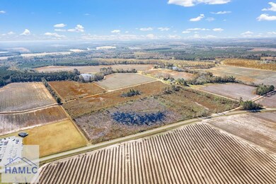 LOT 7 Camp Ground Rd, Claxton, GA 30417 - photo 3