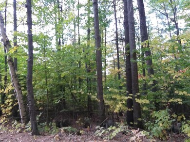 0 Fernwood Farms Rd unit 4830434, Canaan, NH 03741 - photo 3