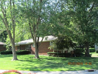 Beautiful Trees !
