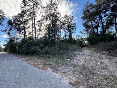 TBD Hickory, Splendora, TX 77372 - photo 7