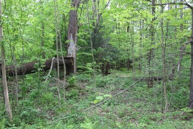 0 State Route 13 unit S1275979, Albion, NY 13302 - photo 4