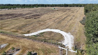 6800 Goose Pond Rd, Ona, FL 33865 - photo 3