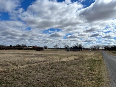 000 Laurie Ln, Springtown, TX 76082 - photo 3