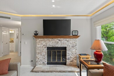 3020 Saint Albans Mill Rd unit 303, Minnetonka, MN 55305 - photo 7