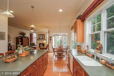 9097 Roaring Spring Loop, Bristow, VA 20136 - photo 5