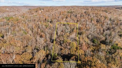 0 Cuba Landing Rd unit RTC3059775, Waverly, TN 37185 - photo 3