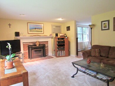 Living room with fireplace