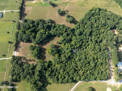 0 Cane Creek Rd unit 4132141, Flora, MS 39071 - photo 5