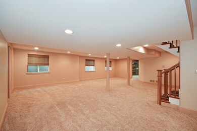 249 N Maple Ave, Elmhurst, IL 60126 - photo 6