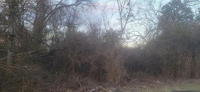 138 Cordell Dr, Burnside, KY 42519 - photo 3