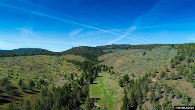 0 Moon Creek (Parcel #2200) Rd unit 766115, Mount Vernon, OR 97865 - photo 4