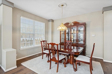 8 Litchfield Ct unit 1, Lake In the Hills, IL 60156 - photo 4