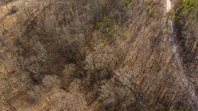 DJI_20250301150934_0396_D