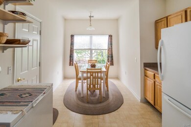 2607 Saddle Ln unit 12A, Macungie, PA 18062 - photo 6