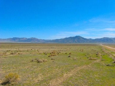 0 S Herschell Rd unit 25681859, Winnemucca, NV 89445 - photo 4